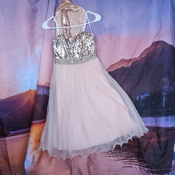 Speechless Blush Pink Dress - Picture 1 of 6